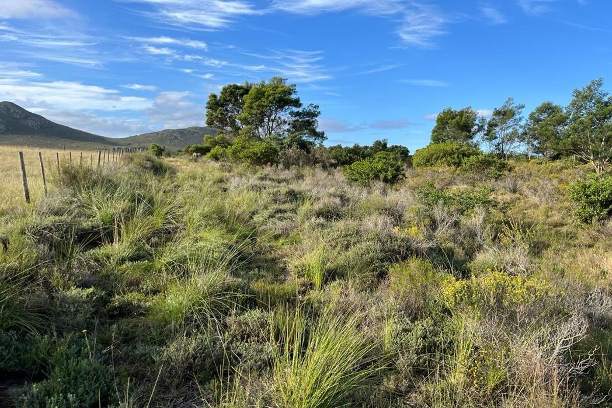 Farm For Sale in Humansdorp Rural - Photo 2