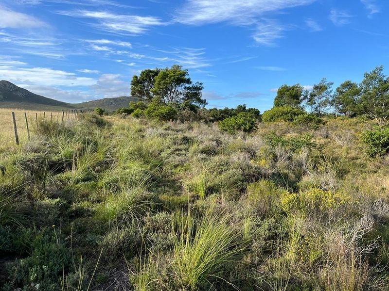 Farm For Sale in Humansdorp Rural - Photo 6