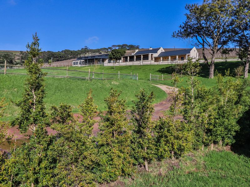 Farm For Sale in Stellenbosch Farms - Photo 2