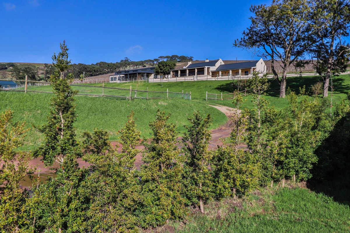 Farm For Sale in Stellenbosch Farms - Photo 2