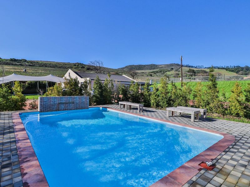 Farm For Sale in Stellenbosch Farms - Photo 9