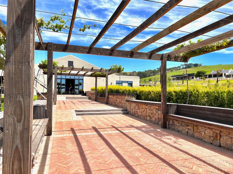 Farm For Sale in Stellenbosch Farms - Photo 8