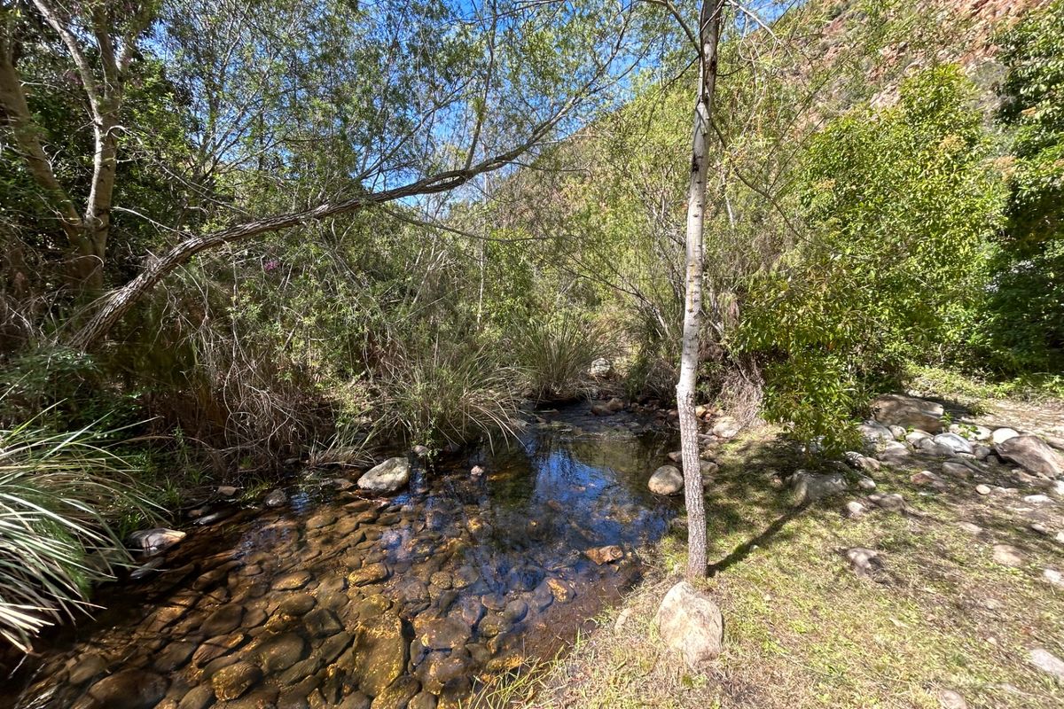 Farm For Sale in Joubertina Rural - Photo 2