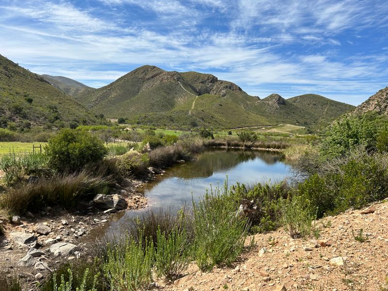 Farm For Sale in Joubertina Rural - Photo 3