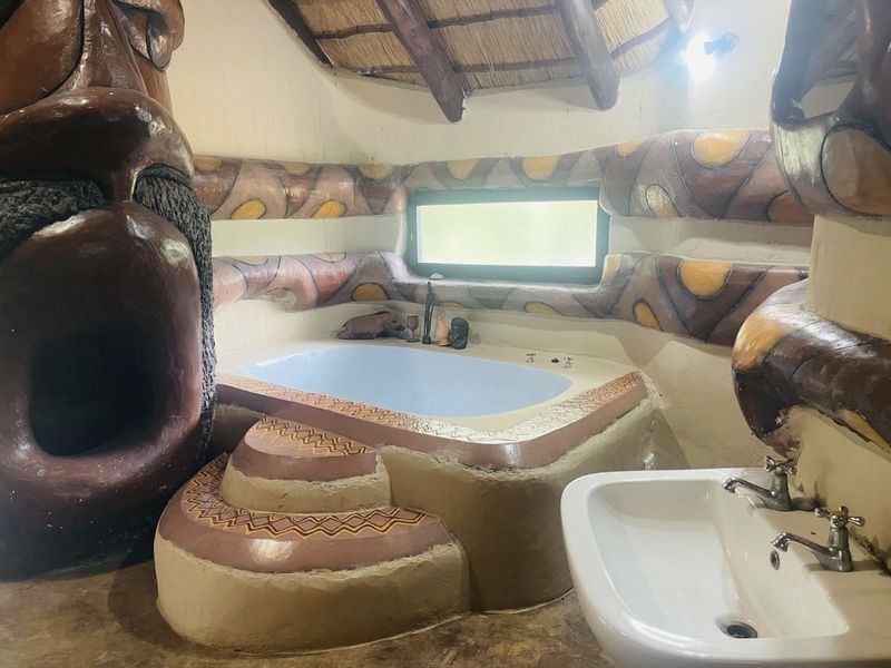 Farm For Sale in Ndlovumzi Nature Reserve - Photo 10