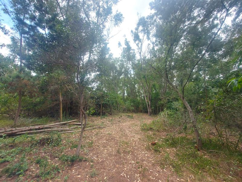 Farm For Sale in Langvlei Dunes - Photo 10