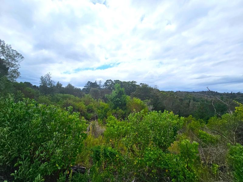 Farm For Sale in Langvlei Dunes - Photo 9