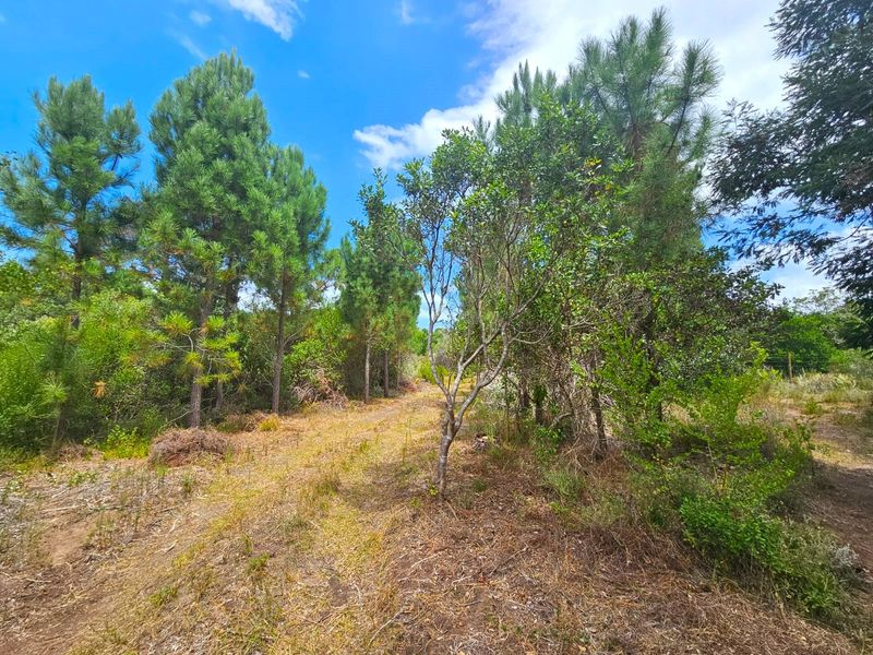 Farm For Sale in Langvlei Dunes - Photo 8