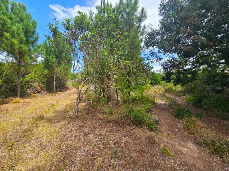 Farm For Sale in Langvlei Dunes - Photo 7