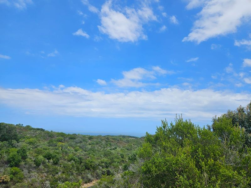 Farm For Sale in Langvlei Dunes - Photo 5