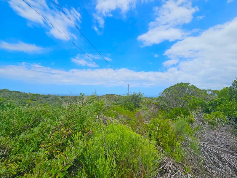 Farm For Sale in Langvlei Dunes - Photo 6