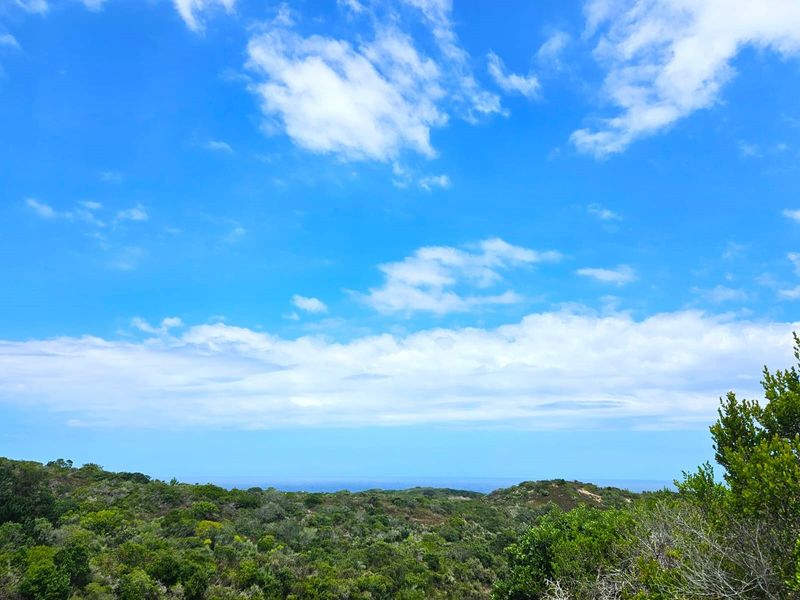 Farm For Sale in Langvlei Dunes - Photo 2