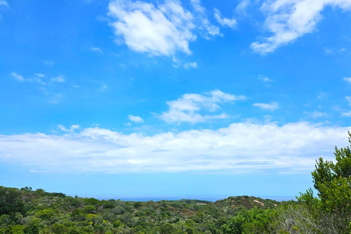 Farm For Sale in Langvlei Dunes - Photo 2