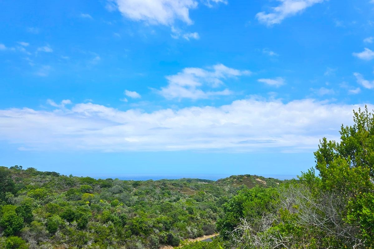Farm For Sale in Langvlei Dunes - Photo 3