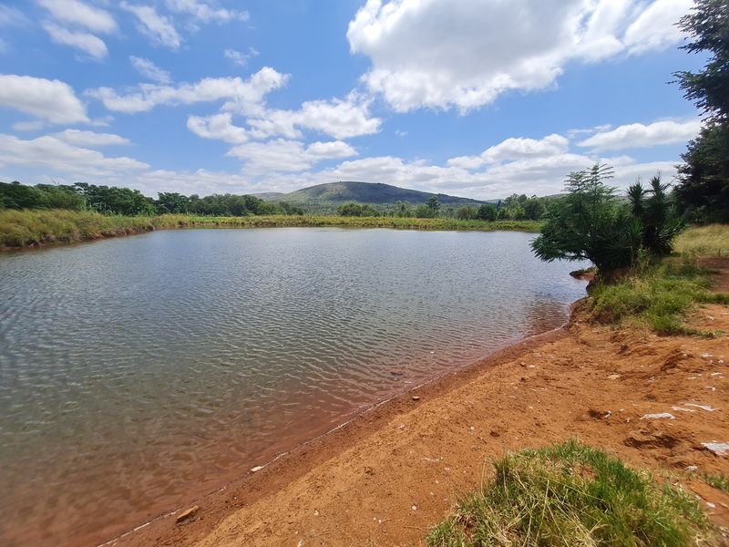 Farm For Sale in Modimolle Rural - Photo 3