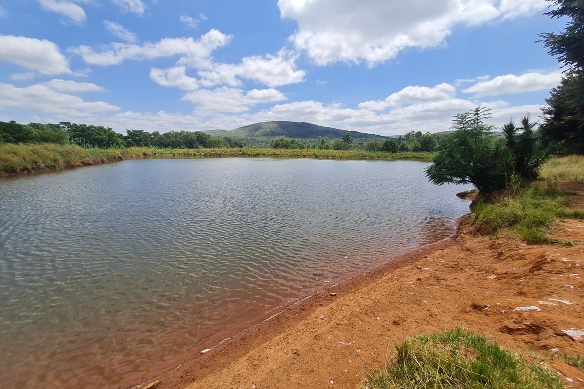 Farm For Sale in Modimolle Rural - Photo 3