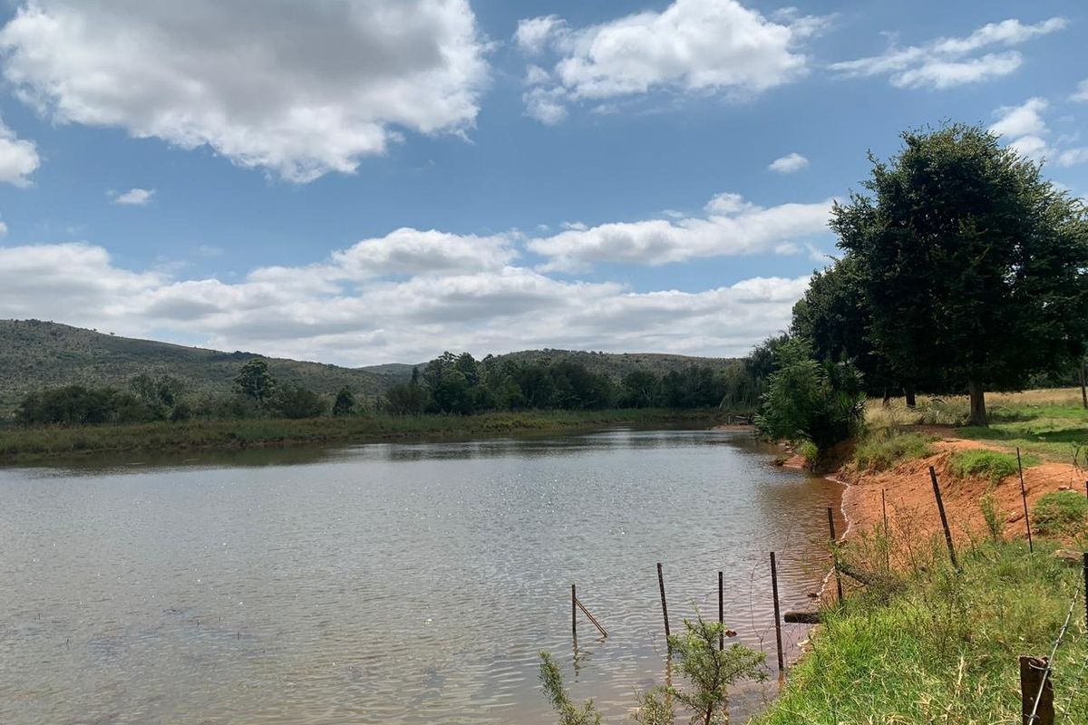 Farm For Sale in Modimolle Rural - Photo 4