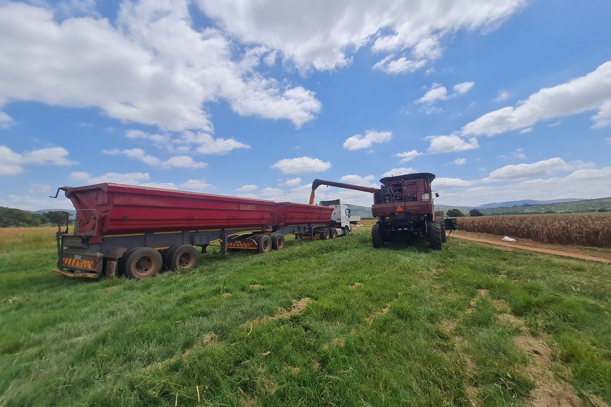 Farm For Sale in Modimolle Rural - Photo 2