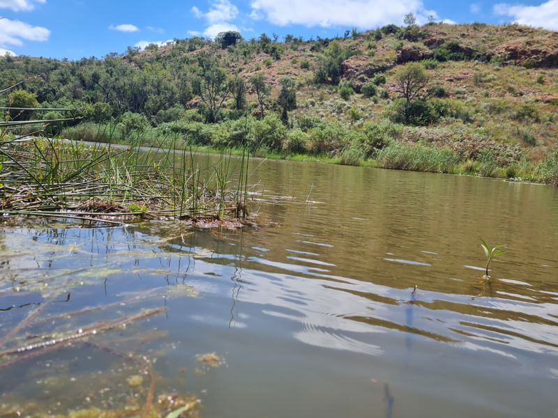 Farm For Sale in Modimolle Rural - Photo 5