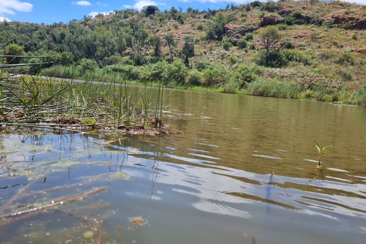 Farm For Sale in Modimolle Rural - Photo 5