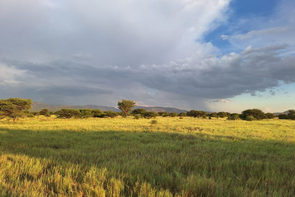 Farm For Sale in Oorlogsfontein AH - Photo 3