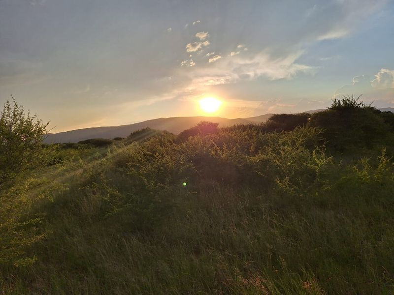 Farm For Sale in Oorlogsfontein AH - Photo 2