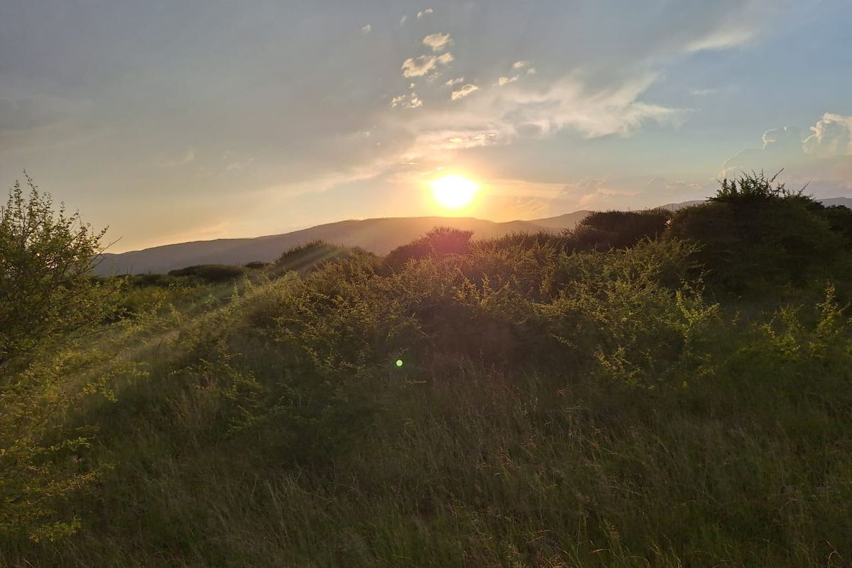 Farm For Sale in Oorlogsfontein AH - Photo 2