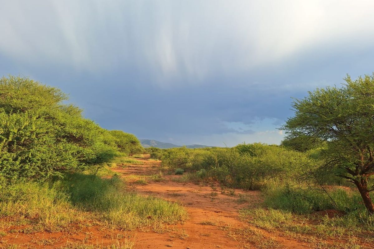 Farm For Sale in Oorlogsfontein AH - Photo 4