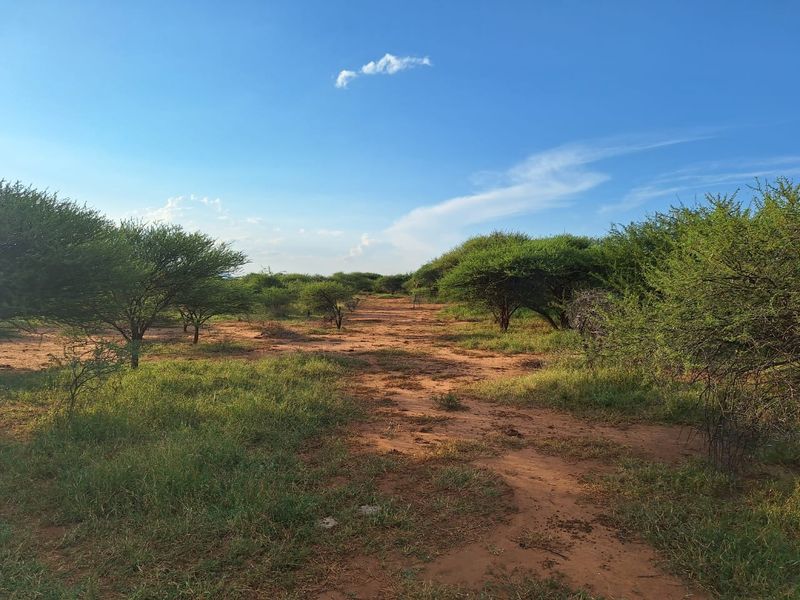 Farm For Sale in Oorlogsfontein AH - Photo 5