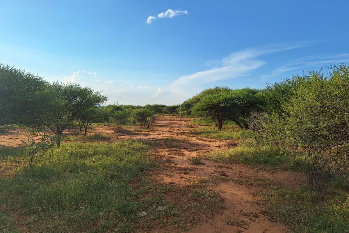 Farm For Sale in Oorlogsfontein AH - Photo 5