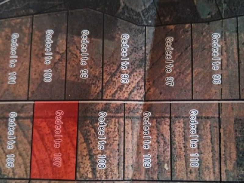 Farm For Sale in Oorlogsfontein AH - Photo 6