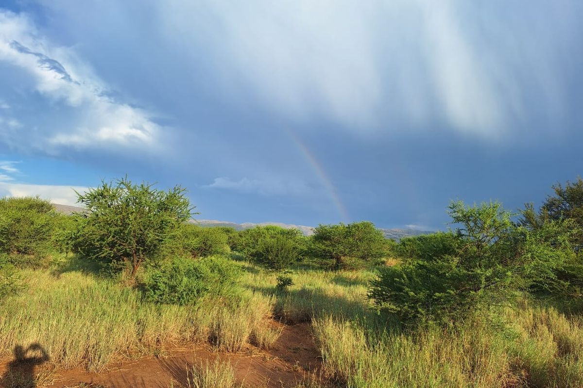 Farm For Sale in Oorlogsfontein AH - Photo 5