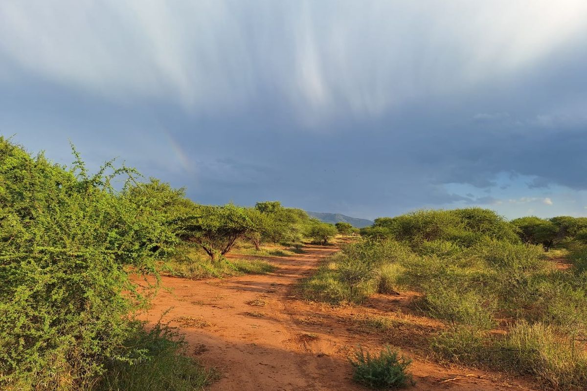 Farm For Sale in Oorlogsfontein AH - Photo 3