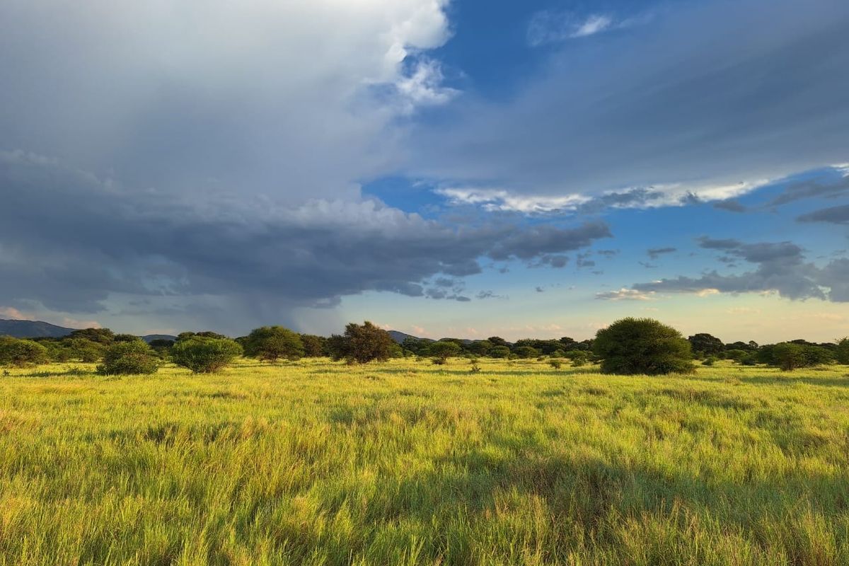 Farm For Sale in Oorlogsfontein AH - Photo 2