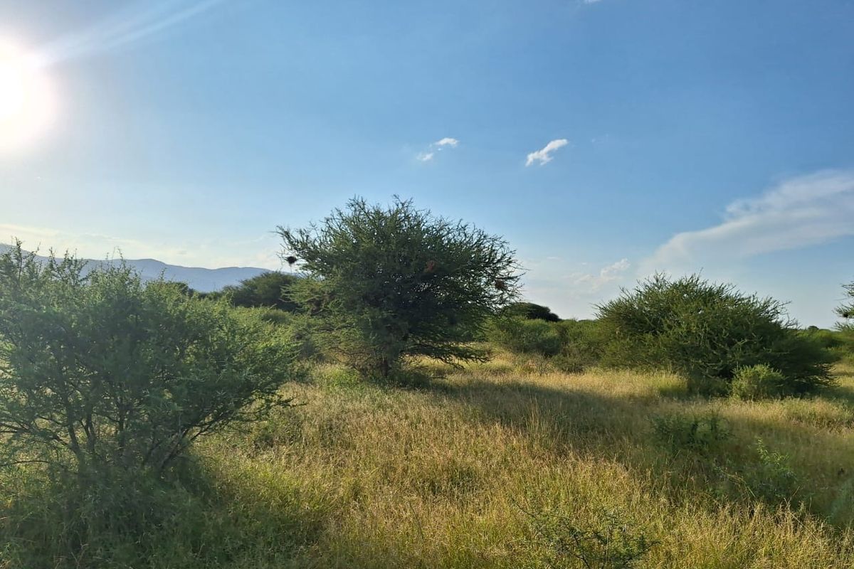 Farm For Sale in Oorlogsfontein AH - Photo 5