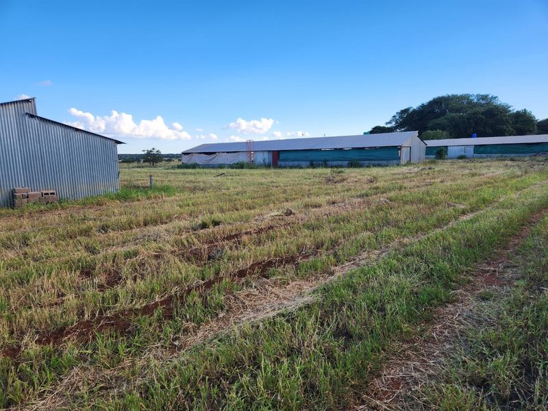 Farm For Sale in Dalmada AH - Photo 3