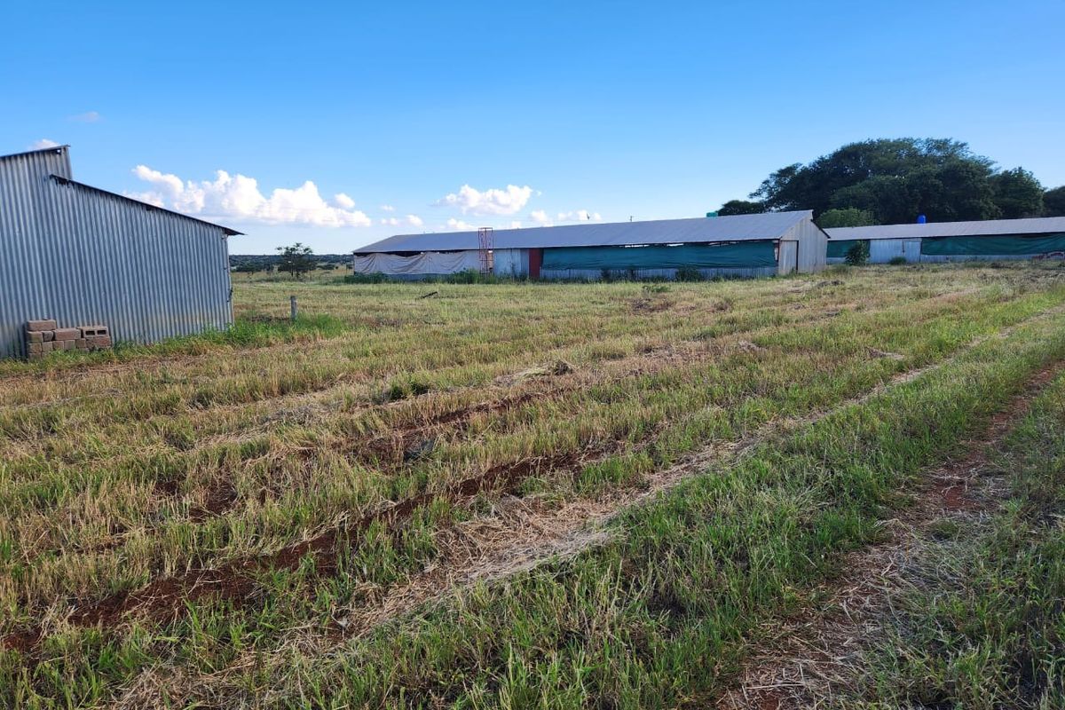 Farm For Sale in Dalmada AH - Photo 3