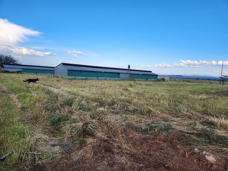 Farm For Sale in Dalmada AH - Photo 10