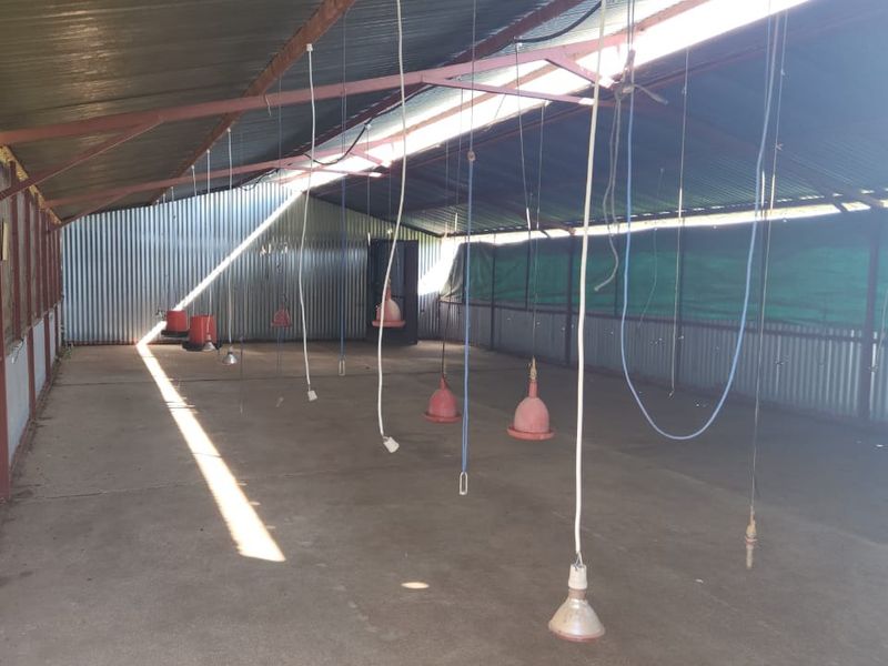 Farm For Sale in Dalmada AH - Photo 6