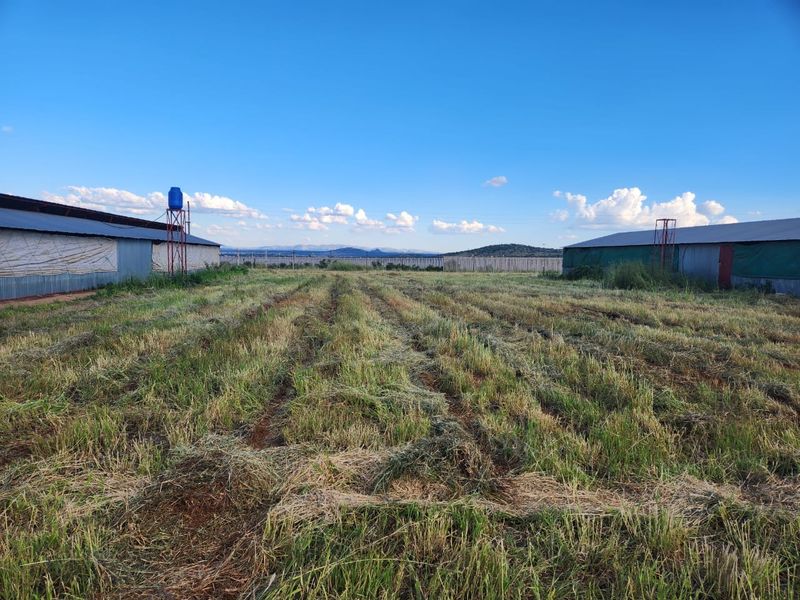 Farm For Sale in Dalmada AH - Photo 5