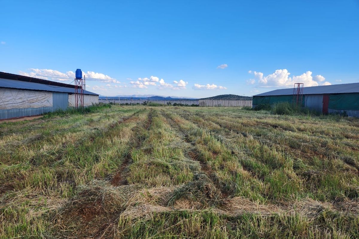 Farm For Sale in Dalmada AH - Photo 5