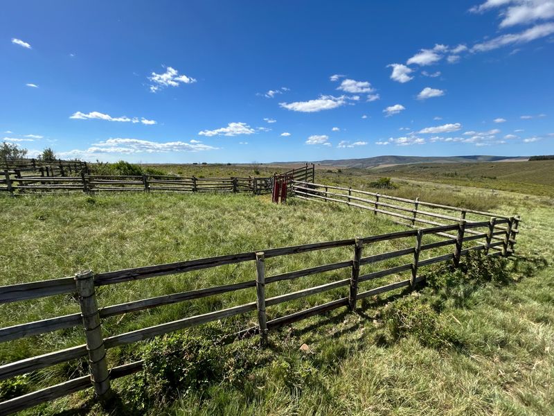 Farm For Sale in Herbertsdale - Photo 8