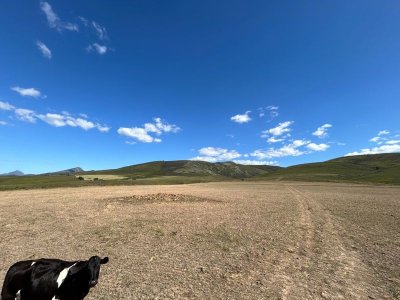 Farm For Sale in Herbertsdale - Photo 6