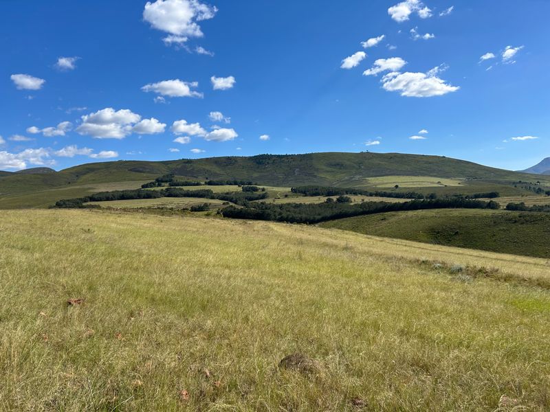 Farm For Sale in Herbertsdale - Photo 4