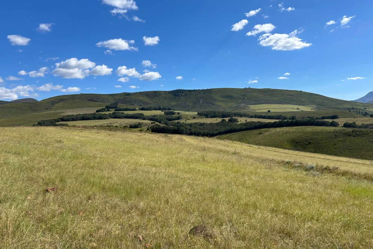 Farm For Sale in Herbertsdale - Photo 4