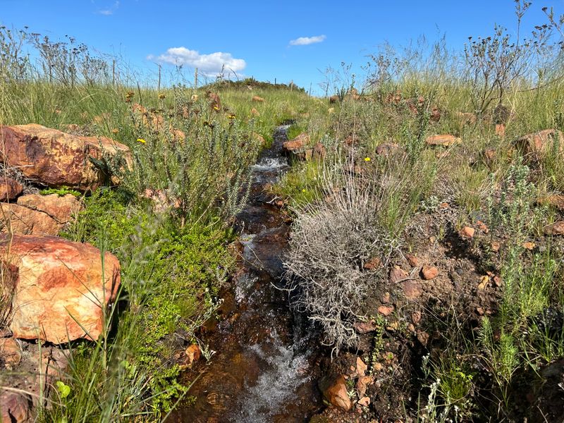 Farm For Sale in Herbertsdale - Photo 3