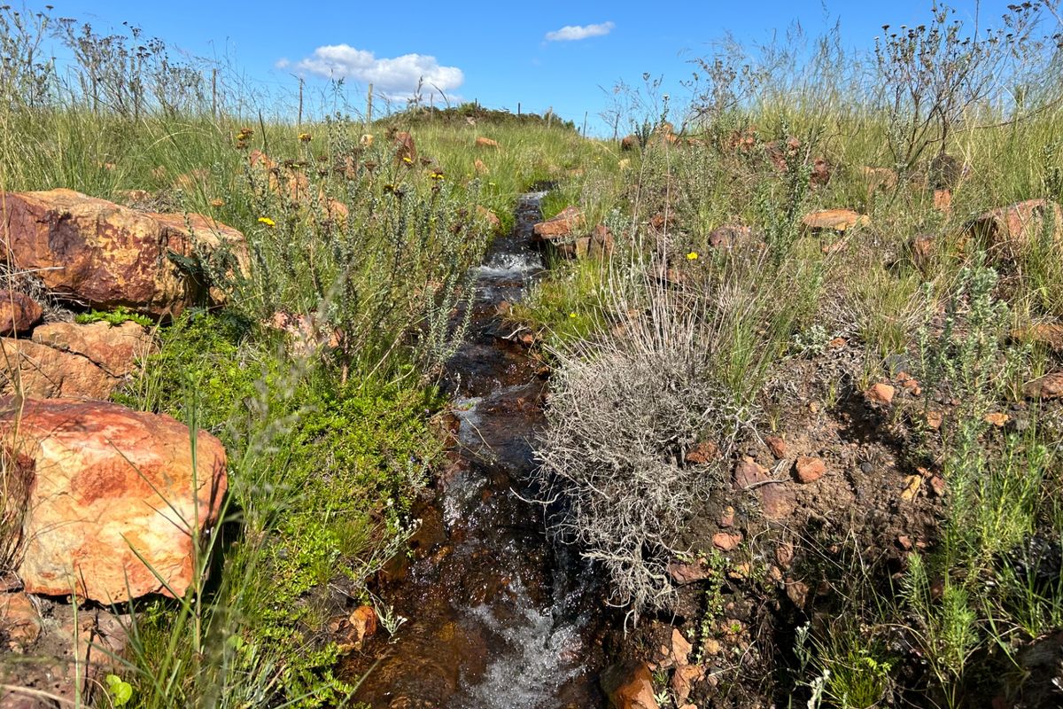 Farm For Sale in Herbertsdale - Photo 3