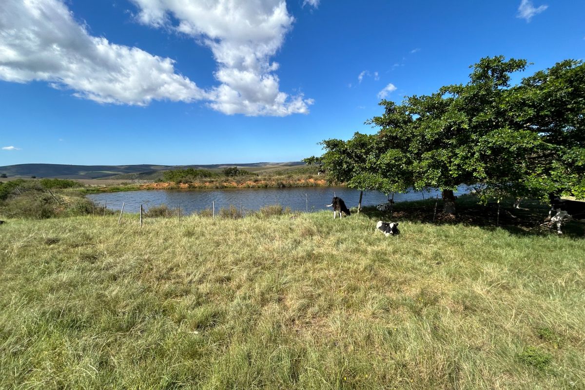 Farm For Sale in Herbertsdale - Photo 5