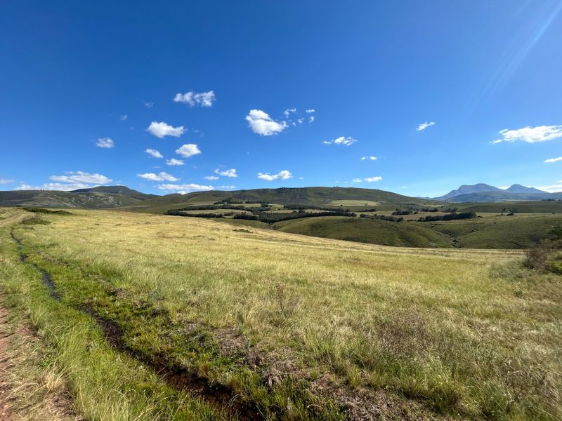 Farm For Sale in Herbertsdale - Photo 2