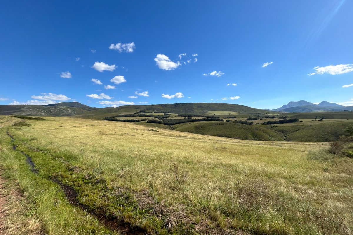 Farm For Sale in Herbertsdale - Photo 2